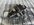 IMG_1780.jpeg