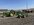 IMG_0768.jpeg