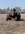 IMG_0755.jpeg
