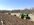 IMG_0799.jpeg