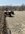 IMG_0800.jpeg