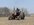 IMG_0794.jpeg