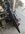 IMG_9934.jpeg
