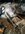 IMG_3648.jpeg