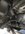 IMG_9942.jpeg
