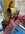 IMG_2896.jpeg