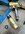 IMG_2898.jpeg