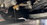 IMG_3625.jpeg