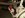 updates010.jpg
