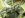 updates038.jpg