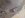 410.jpg