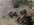 IMG_9952.jpeg