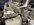 IMG_1820.jpeg