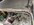IMG_1822.jpeg
