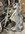 IMG_1828.jpeg