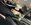 IMG_3650.jpeg