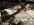 IMG_9960.jpeg