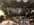 IMG_9962.jpeg