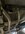 IMG_9964.jpeg