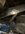IMG_9966.jpeg