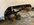 IMG_9968.jpeg