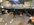 IMG_9969.jpeg