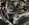 IMG_5818.jpeg