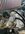 IMG_3693.jpeg