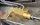 IMG_5822.jpeg