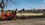 IMG_0888.jpeg