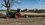 IMG_0886.jpeg