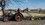 IMG_0887.jpeg