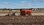 IMG_0889.jpeg