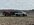 IMG_0831.jpeg