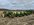 IMG_0812.jpeg