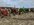 IMG_0822.jpeg
