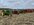 IMG_0820.jpeg