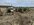 IMG_0823.jpeg