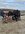 IMG_0827.jpeg