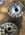 IMG_5826.jpeg