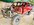 IMG_2338.jpeg