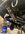 IMG_9975.jpeg