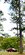 IMG_7687.jpeg