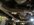 IMG_9980.jpeg