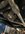 IMG_9982.jpeg