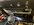 IMG_9984.jpeg