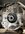 IMG_1447.jpeg