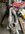 IMG_9987.jpeg