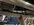 IMG_9990.jpeg