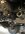 IMG_0003.jpeg